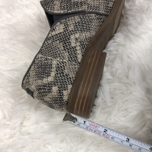 Toms Animal Print - Picture 10 of 10